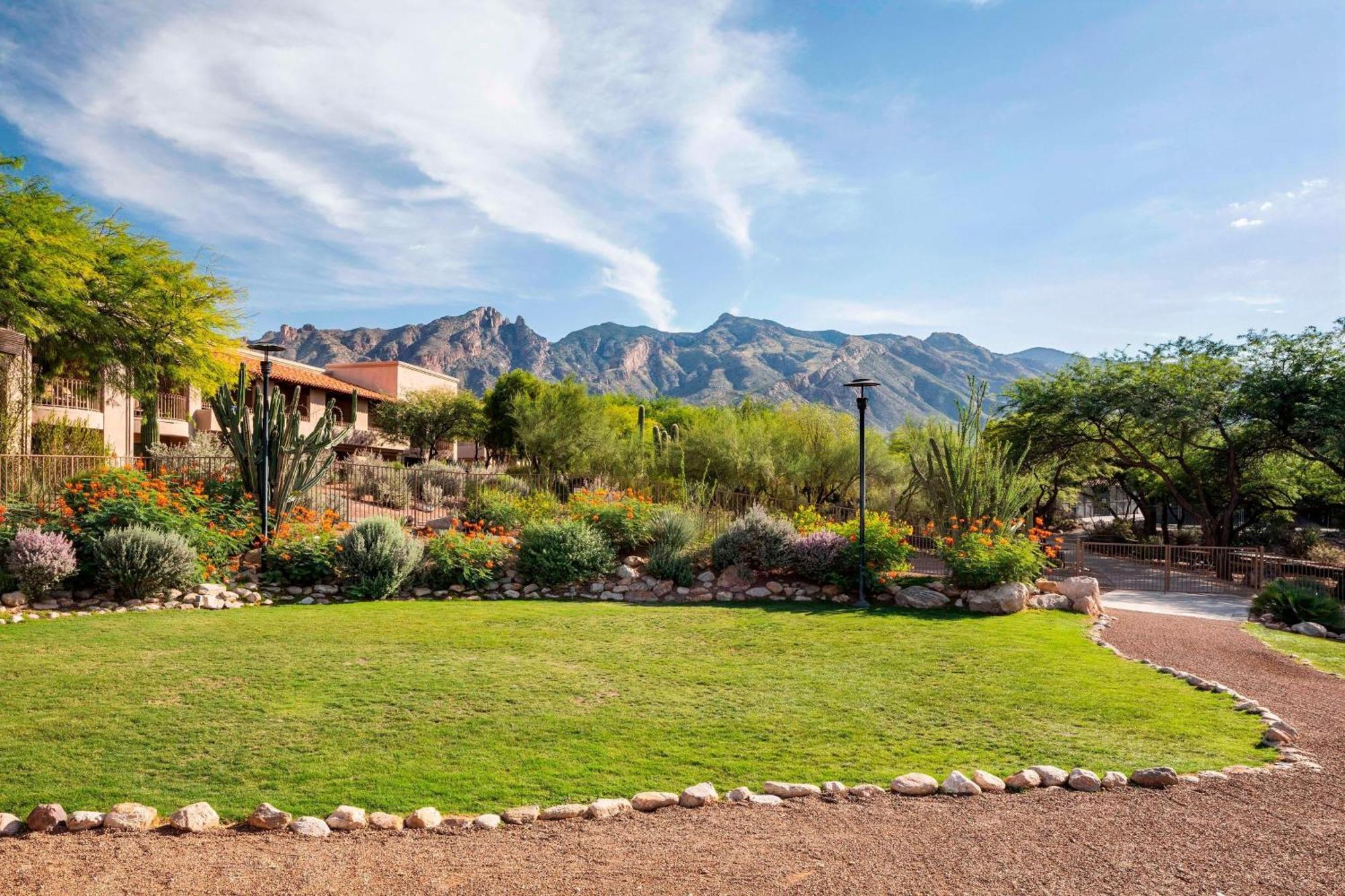 The Westin La Paloma Resort & Spa Tucson Buitenkant foto